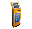 Qiwi
